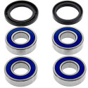 Kit de roulement de roue All Balls 251672
