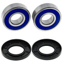 Kit de roulement de roue All Balls 251678