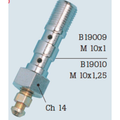 VIS DE PURGE DOUBLE 10X1,25 ZINC