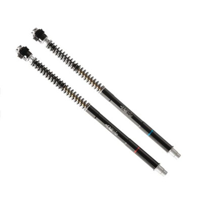 Kit fourche Matrix F25R Aprilia F25A110R