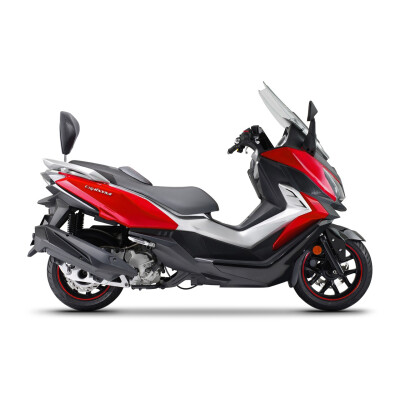 Support de dossier SHAD pour moto Sym Cruisym 300i