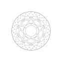 DISQUE DE FREIN BREMBO 78B40895