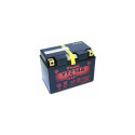 Batterie gel YUASA YTZ14S