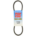 Courroie trapézoïdale DAYCO 13A0725C