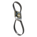 Courroie trapézoïdale à nervures DAYCO 5PK1050