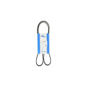 Courroie trapézoïdale à nervures DAYCO 5 PK 1355