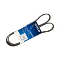 Courroie trapézoïdale à nervures DAYCO 6 PK 1180