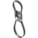 Courroie trapézoïdale à nervures DAYCO 6 PK 1270