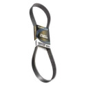 Courroie trapézoïdale à nervures DAYCO 6 PK 1310