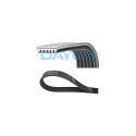 Courroie trapézoïdale à nervures DAYCO 6PK1435