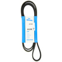 Courroie trapézoïdale à nervures DAYCO 6PK1842