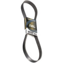 Courroie trapézoïdale à nervures DAYCO 6 PK 1920