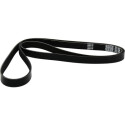Courroie trapézoïdale à nervures DAYCO 6 PK 2000