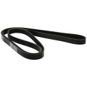 Courroie trapézoïdale à nervures DAYCO 6 PK 2050