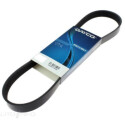 Courroie trapézoïdale à nervures DAYCO 6 PK 2080