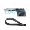 Courroie trapézoïdale à nervures DAYCO 6PK2263