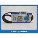 Courroie trapézoïdale à nervures DAYCO 6PK838
