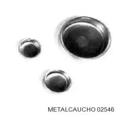 Fiche d'extension METALCAUCHO 2546