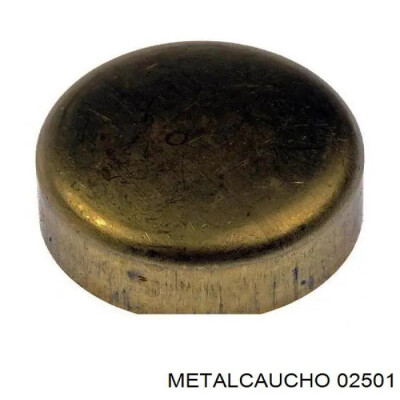 Fiche d'extension METALCAUCHO 2501
