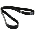 Courroie trapézoïdale à nervures DAYCO 6PK1372