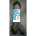 Courroie trapézoïdale à nervures DAYCO 6 PK 2550