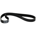 Courroie trapézoïdale à nervures DAYCO 6 PK 850