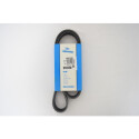 Courroie trapézoïdale à nervures DAYCO 6PK1035S