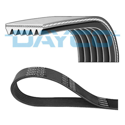 Courroie trapézoïdale à nervures DAYCO 6PK1173