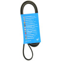 Courroie trapézoïdale à nervures DAYCO 6 PK 1590