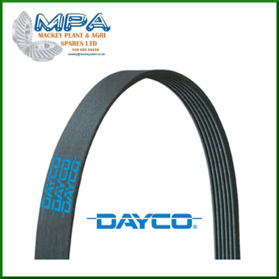Courroie trapézoïdale à nervures DAYCO 6PK905S