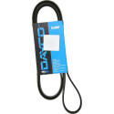 Courroie trapézoïdale à nervures DAYCO 6PK1846