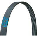 Courroie trapézoïdale à nervures DAYCO 5PK690EE