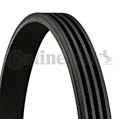 Courroie trapézoïdale ContiTech V-poly 4 PK 805