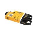 Courroie trapézoïdale ContiTech 4PK 815 Poly V
