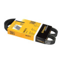 Courroie trapézoïdale ContiTech V-poly 4 PK 875