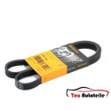 Courroie trapézoïdale ContiTech V-poly 5 PK 1145