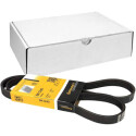 Courroie trapézoïdale ContiTech V-poly 5 PK 1240