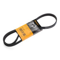 Courroie trapézoïdale en V ContiTech 6PK1256