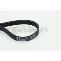 Courroie trapézoïdale ContiTech V-poly 6 PK 1270