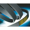 Courroie trapézoïdale ContiTech V-poly 6 PK 1495