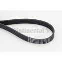 Courroie trapézoïdale ContiTech V-poly 6 PK 1870