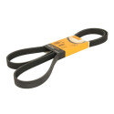 Courroie trapézoïdale ContiTech V-poly 6 PK 1880