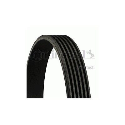 Courroie trapézoïdale ContiTech V-poly 6 PK 1910