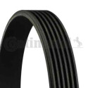 Courroie trapézoïdale poly ContiTech 6 PK 800