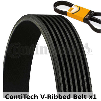 Courroie trapézoïdale ContiTech V-poly 7 PK 1093