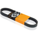 ContiTech 7PK1113 Courroie trapézoïdale poly-V