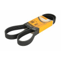 Courroie trapézoïdale ContiTech V-poly 7 PK 1325