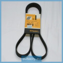 Courroie trapézoïdale ContiTech V-poly 7 PK 1605