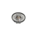 Thermostat d'eau