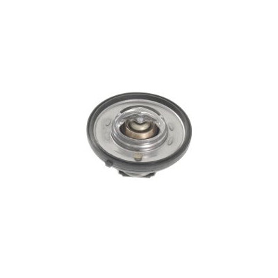 Thermostat d'eau